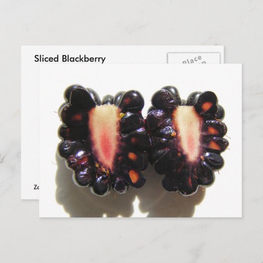 Sliced Blackberry ~ briefkaart (Voorkant / Achterkant)