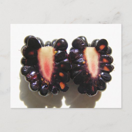 Sliced Blackberry ~ briefkaart (Voorkant)