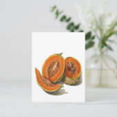 Sliced cantaloupe meloen briefkaart (Staand voorkant)