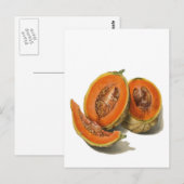 Sliced cantaloupe meloen briefkaart (Voorkant / Achterkant)