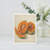 Sliced cantaloupe meloen illustratie briefkaart (Staand voorkant)