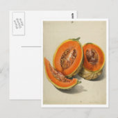Sliced cantaloupe meloen illustratie briefkaart (Voorkant / Achterkant)