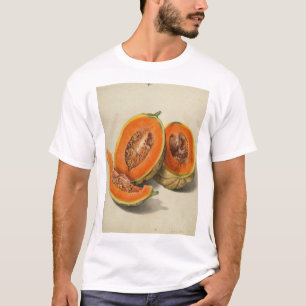 Sliced cantaloupe meloen illustratie t-shirt