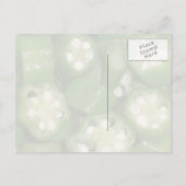 Sliced Okra Postcard Briefkaart (Achterkant)