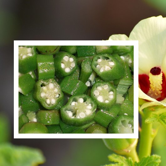 Sliced Okra Postcard Briefkaart