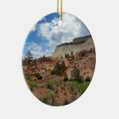 Slick Rock Zion National Park Utah Ornament (Rechts)