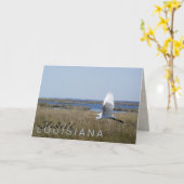 "Slidell, Louisiana" zilverreiger wenskaart Kaart (Gele Bloem)