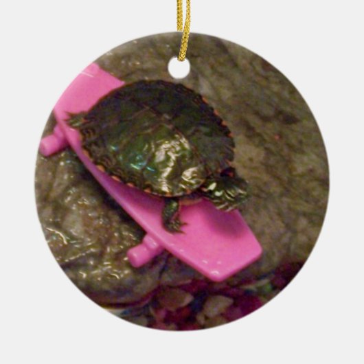 Slider Schildpad Kerst Ornament (Voorkant)