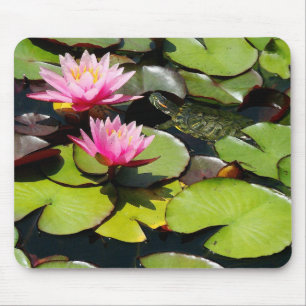 Slider Turtle Waterlily Flowers Pond Wild Muismat
