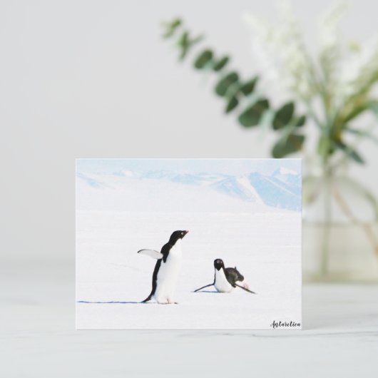 Sliding Adelie Penguin en Friend Briefkaart (Staand voorkant)