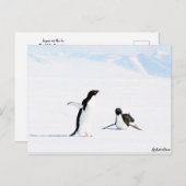 Sliding Adelie Penguin en Friend Briefkaart (Voorkant / Achterkant)