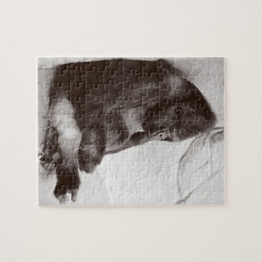 Slieping Gorilla Legpuzzel (Horizontaal)