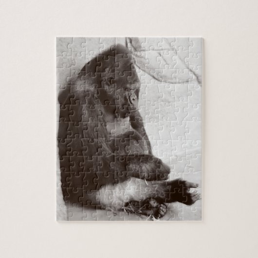 Slieping Gorilla Legpuzzel (Verticaal)