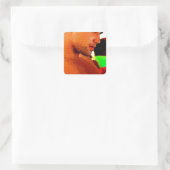 Slijp het langzaam vierkante sticker (Tas)