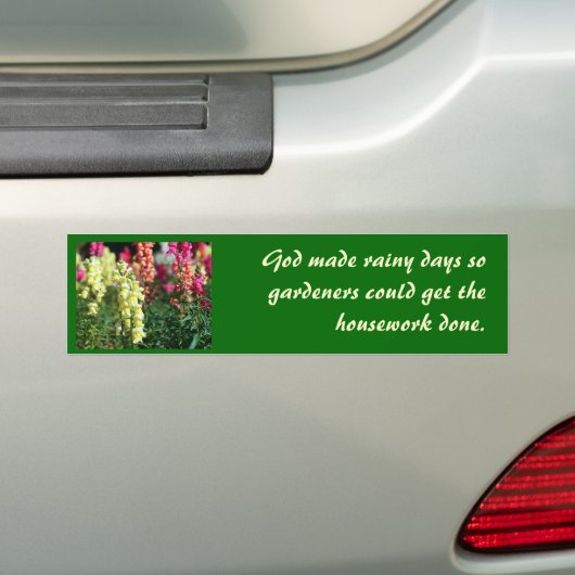 Slijpbumpersticker #1 Snapdragons Bumpersticker (Op auto)