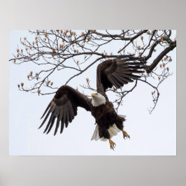 Slijpen in de lucht poster