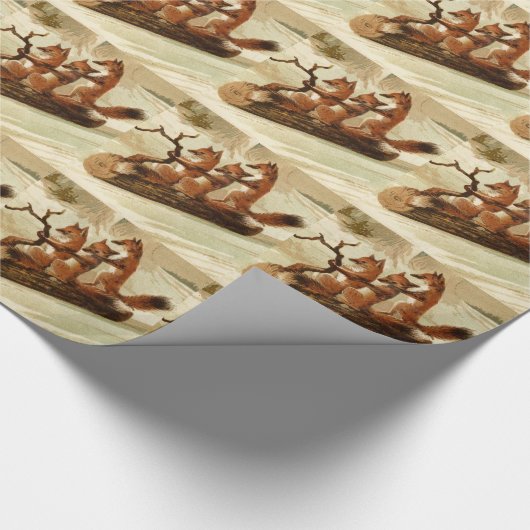 Slijpkogels Cadeaupapier (Hoek)