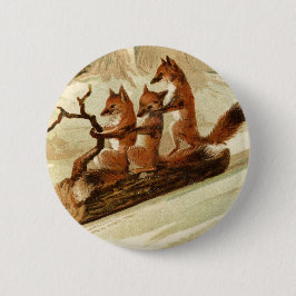 Slijpkogels Ronde Button 5,7 Cm