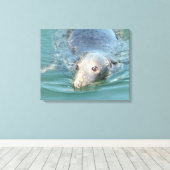 Slijpseeuwen op Kaapverdische canvas (Insitu (Houten vloer))