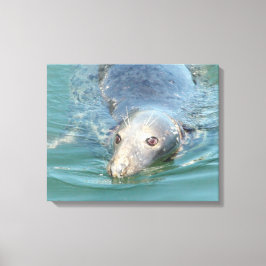 Slijpseeuwen op Kaapverdische canvas Afdruk