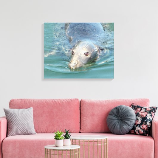 Slijpseeuwen op Kaapverdische canvas Afdruk (Insitu (Woonkamer))