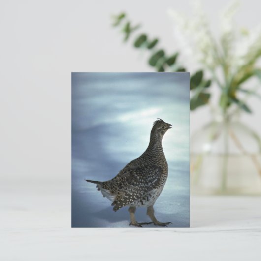 Slijpsnuitje Briefkaart (Staand voorkant)