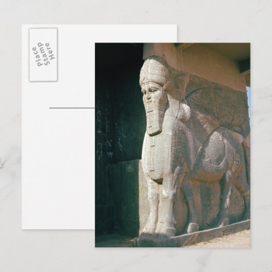 Slijpstier, neo-Assyrische periode Briefkaart (Voorkant / Achterkant)