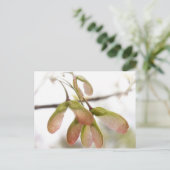 Slijpzaadkorrels, gevlekt briefkaart (Staand voorkant)