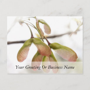 Slijpzaadkorrels, gevlekt briefkaart