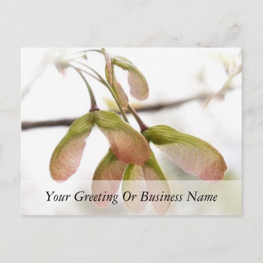 Slijpzaadkorrels, gevlekt briefkaart (Voorkant)