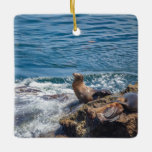 Slijtsteen bij La Jolla Beach in San Diego Keramisch Ornament<br><div class="desc">Zeehonden en zeeen leeuwen rusten op Seal Rock in de Stille Oceaan bij La Jolla,  San Diego California op een mooie zonnige zomerdag</div>