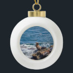 Slijtsteen bij La Jolla Beach in San Diego Keramische Bal Ornament<br><div class="desc">Zeehonden en zeeen leeuwen rusten op Seal Rock in de Stille Oceaan bij La Jolla,  San Diego California op een mooie zonnige zomerdag</div>