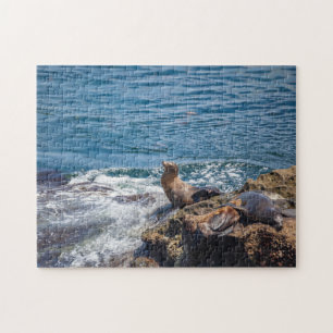 Slijtsteen bij La Jolla Beach in San Diego Legpuzzel