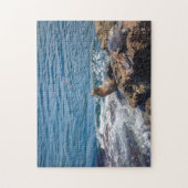 Slijtsteen bij La Jolla Beach in San Diego Legpuzzel (Verticaal)