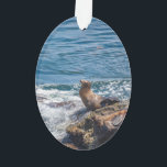 Slijtsteen bij La Jolla Beach in San Diego Ornament<br><div class="desc">Zeehonden en zeeen leeuwen rusten op Seal Rock in de Stille Oceaan bij La Jolla,  San Diego California op een mooie zonnige zomerdag</div>