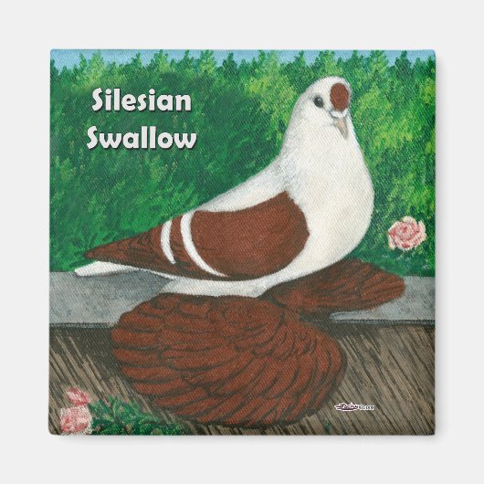 Slik de duif: Silesiaans Magneet (Voorkant)