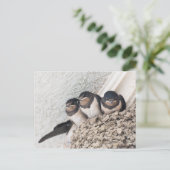 Slik de nestlings in het nest briefkaart (Staand voorkant)