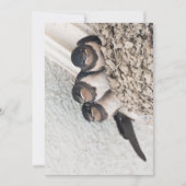 Slik de nestlings in het nest kaart (Voorkant)