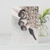 Slik de nestlings in het nest kaart (Staand voorkant)