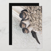 Slik de nestlings in het nest kaart (Voorkant / Achterkant)