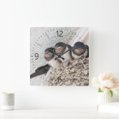 Slik de nestlings in het nest vierkante klok (Huis)
