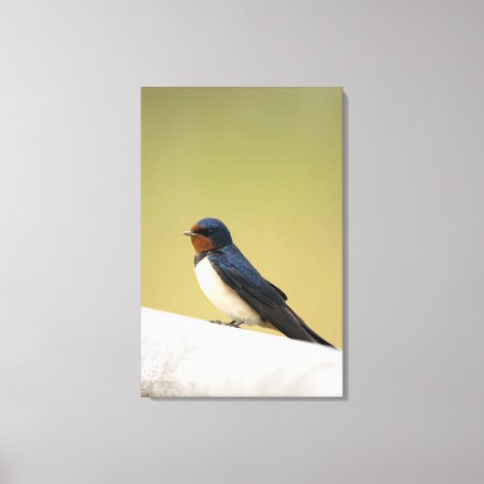 Slik door op een Wooden Ledge Canvas Afdruk (Voorkant)