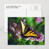 Slik door op Lila Briefkaart (Voorkant / Achterkant)