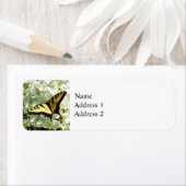 Slik door op White Hydrangea Etiket (Insitu)