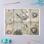 Slik en nestel met eitjes voorjaar Tissuepapier (Craft)