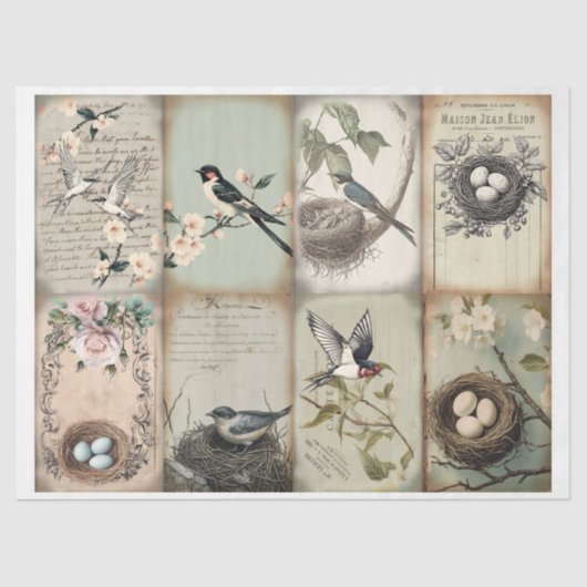 Slik en nestel met eitjes voorjaar Tissuepapier (Voorkant)