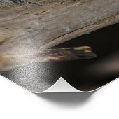 Slik jonge hondjes die op een tak rusten door foto afdruk (Hoek)