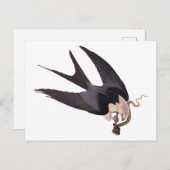 Slik Tailed Hawk door met Snake Audubon Briefkaart (Voorkant / Achterkant)