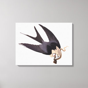 Slik Tailed Hawk door met Snake  Audubon Canvas Afdruk