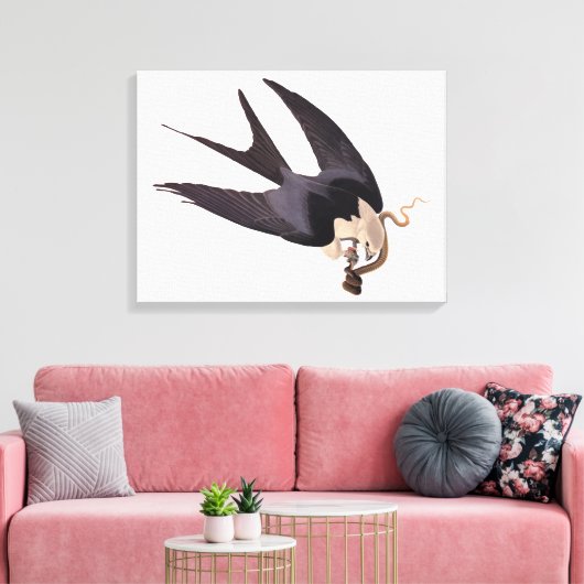 Slik Tailed Hawk door met Snake  Audubon Canvas Afdruk (Insitu (Woonkamer))